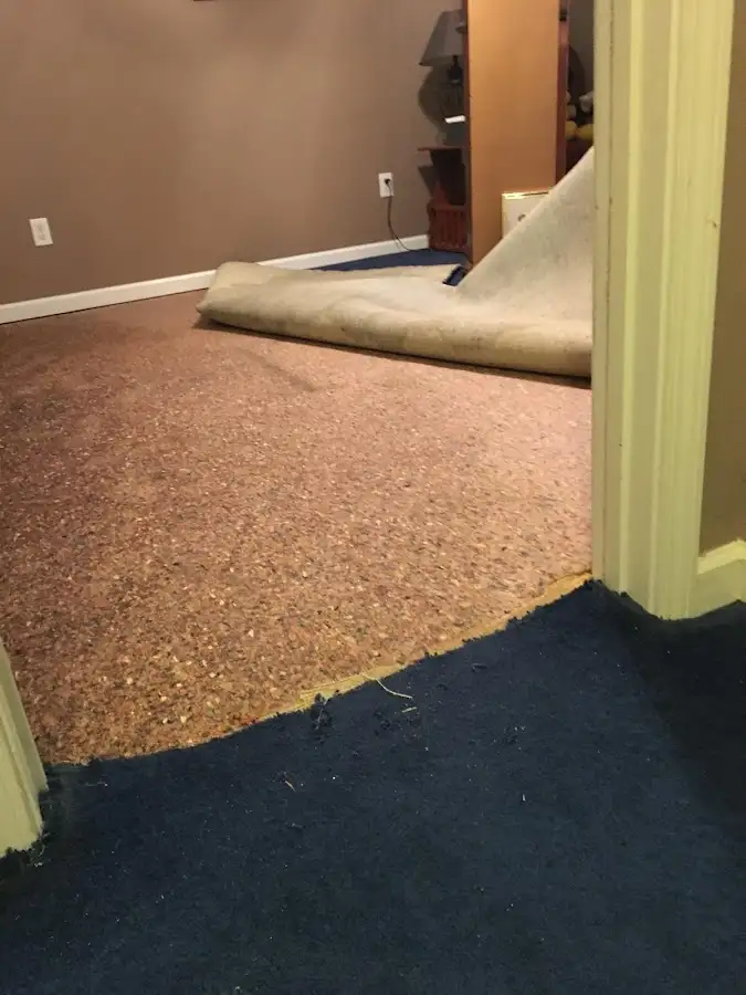Carpet pad removal revealing water damage during Drying & Dehumidification in Conemaugh